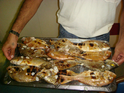 Fische von Dakar