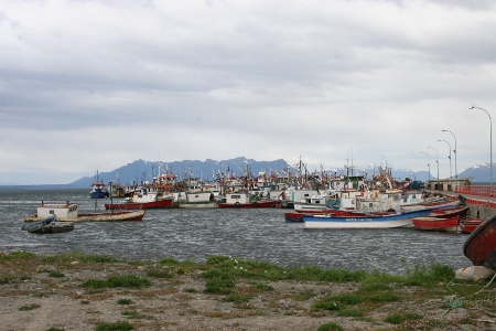 Fischerhafen von Puerto Natales